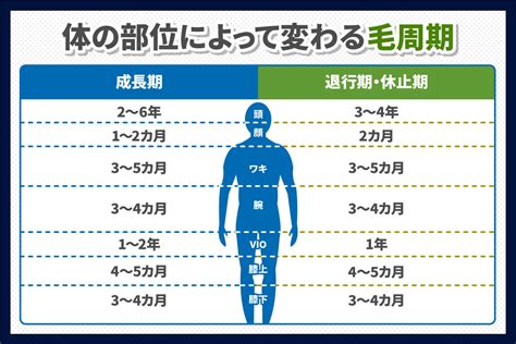 脱毛 下陰